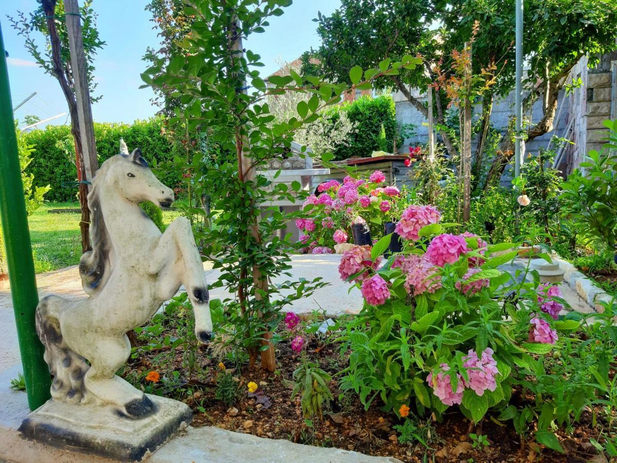 Villa Mimoza ブラガイ エクステリア 写真