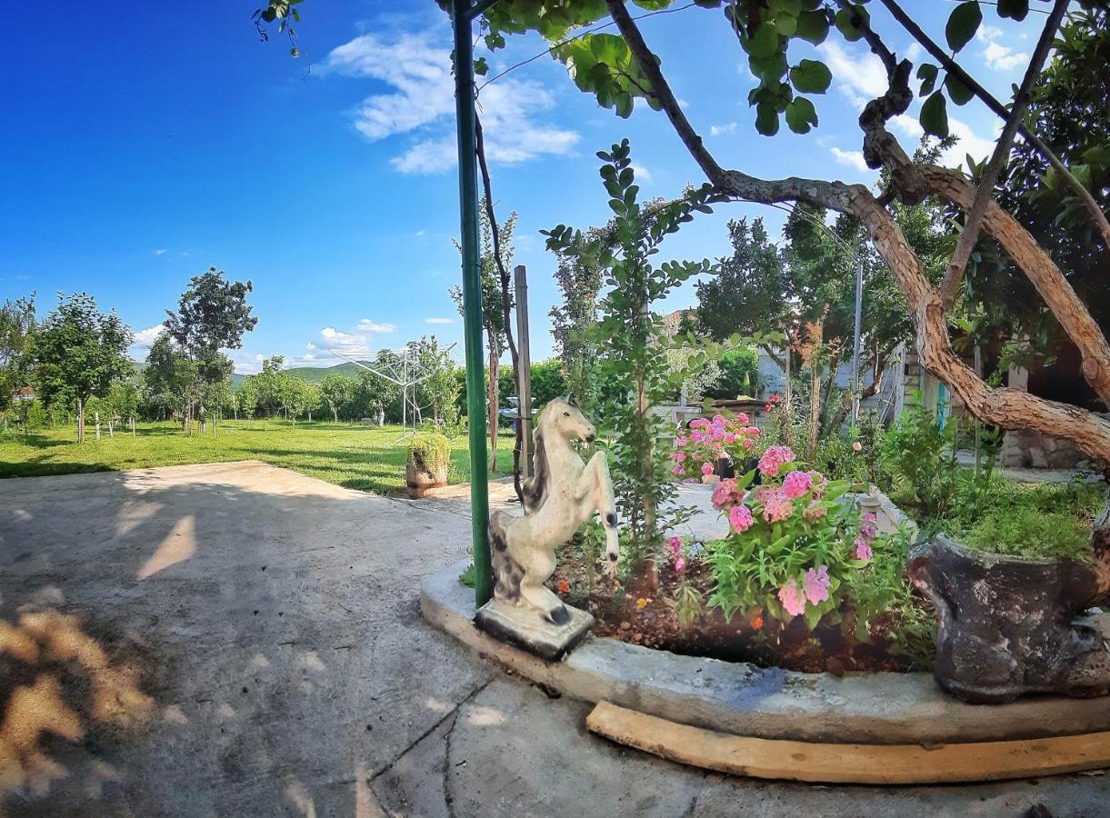 Villa Mimoza ブラガイ エクステリア 写真